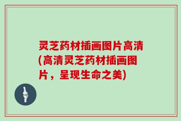 灵芝药材插画图片高清(高清灵芝药材插画图片,呈现生命之美)