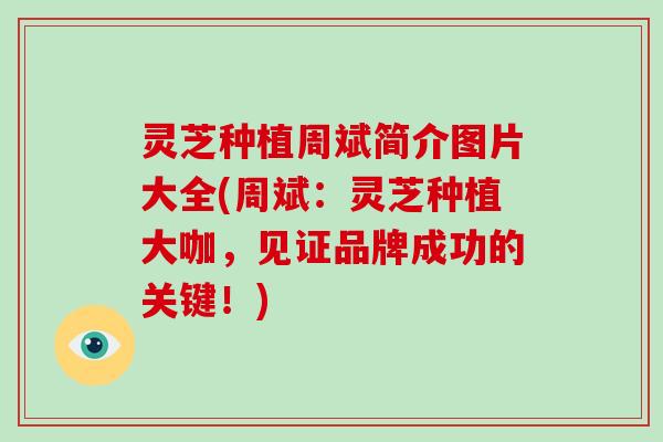 灵芝种植周斌简介图片大全(周斌：灵芝种植大咖，见证品牌成功的关键！)