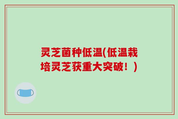 灵芝菌种低温(低温栽培灵芝获重大突破!)