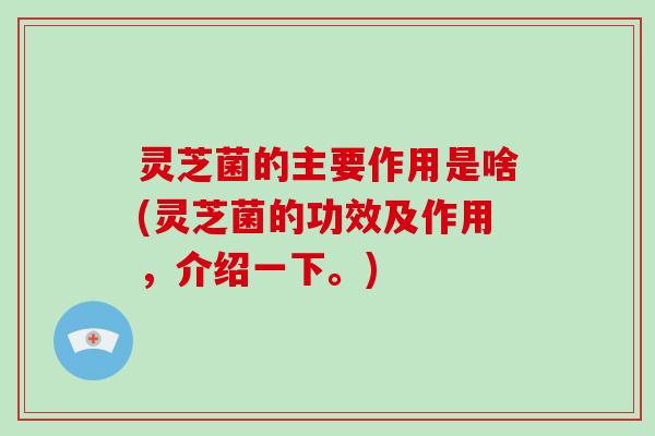 灵芝菌的主要作用是啥(灵芝菌的功效及作用,介绍一下。)