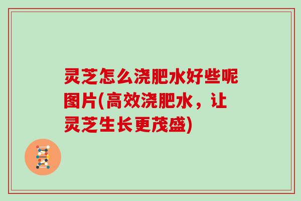 灵芝怎么浇肥水好些呢图片(高效浇肥水,让灵芝生长更茂盛)