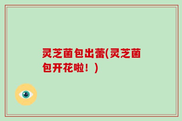 灵芝菌包出蕾(灵芝菌包开花啦！)