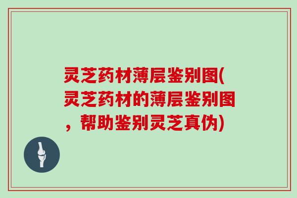 灵芝药材薄层鉴别图(灵芝药材的薄层鉴别图,帮助鉴别灵芝真伪)