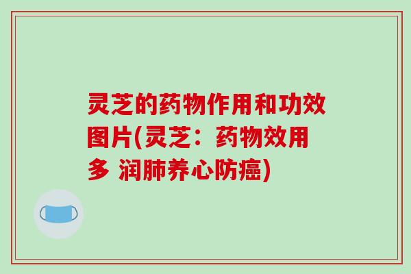 灵芝的药物作用和功效图片(灵芝：药物效用多 润肺养心防癌)