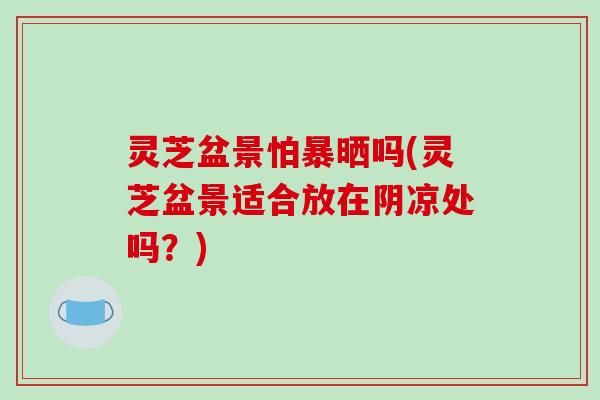 灵芝盆景怕暴晒吗(灵芝盆景适合放在阴凉处吗?)