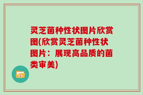 灵芝菌种性状图片欣赏图(欣赏灵芝菌种性状图片:展现高品质的菌类审美)