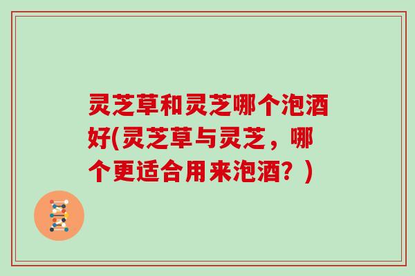 灵芝草和灵芝哪个泡酒好(灵芝草与灵芝,哪个更适合用来泡酒?)
