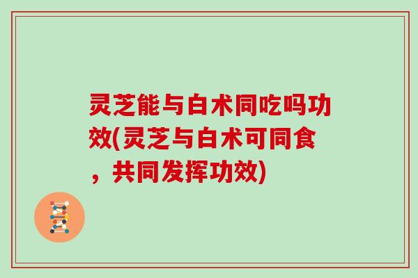 灵芝能与白术同吃吗功效(灵芝与白术可同食，共同发挥功效)