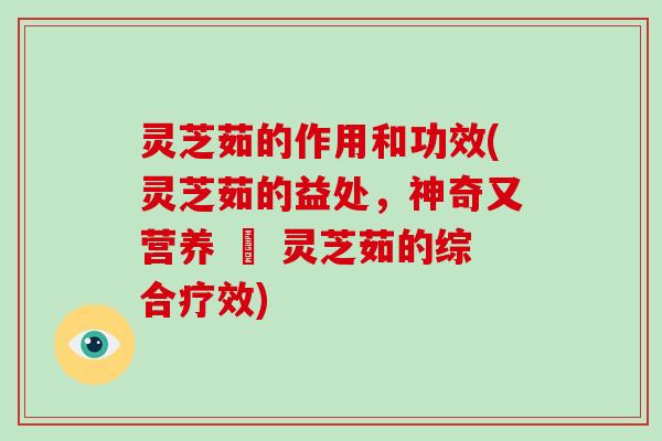 灵芝茹的作用和功效(灵芝茹的益处,神奇又营养 – 灵芝茹的综合疗效)