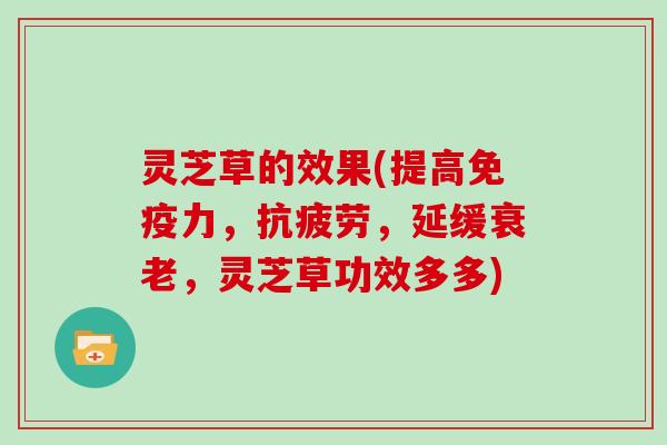 灵芝草的效果(提高免疫力,抗疲劳,延缓衰老,灵芝草功效多多)