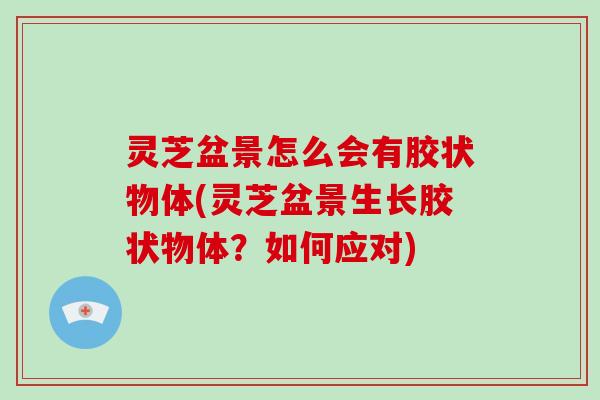 灵芝盆景怎么会有胶状物体(灵芝盆景生长胶状物体？如何应对)