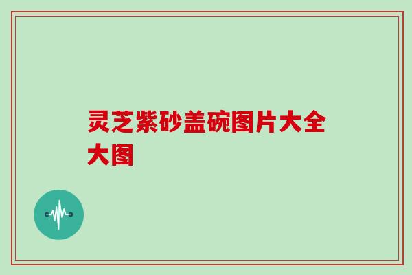 灵芝紫砂盖碗图片大全大图