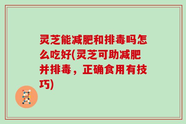 灵芝能减肥和排毒吗怎么吃好(灵芝可助减肥并排毒,正确食用有技巧)
