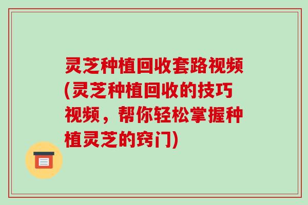 灵芝种植回收套路视频(灵芝种植回收的技巧视频,帮你轻松掌握种植灵芝的窍门)
