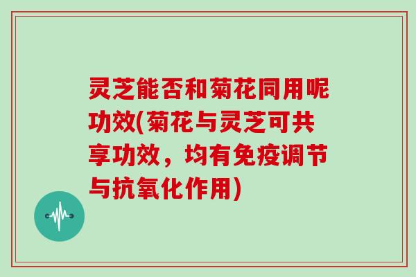 灵芝能否和菊花同用呢功效(菊花与灵芝可共享功效,均有免疫调节与抗氧化作用)