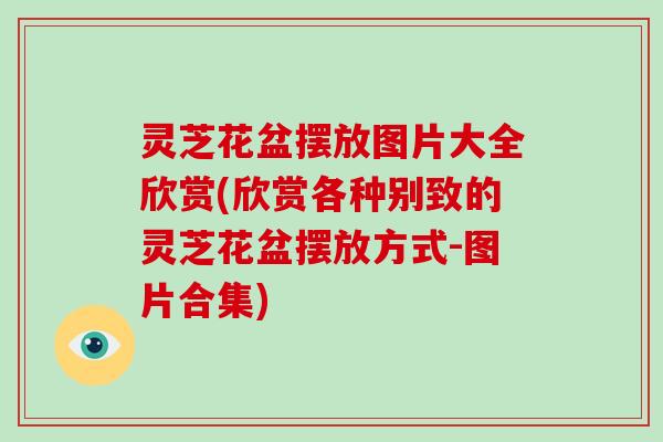 灵芝花盆摆放图片大全欣赏(欣赏各种别致的灵芝花盆摆放方式-图片合集)