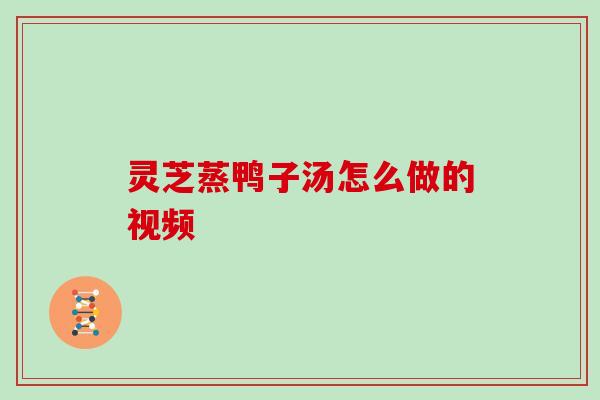 灵芝蒸鸭子汤怎么做的视频