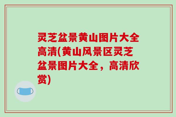 灵芝盆景黄山图片大全高清(黄山风景区灵芝盆景图片大全,高清欣赏)