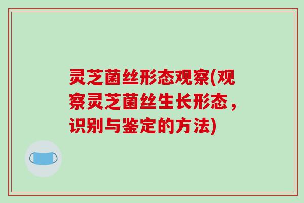 灵芝菌丝形态观察(观察灵芝菌丝生长形态,识别与鉴定的方法)
