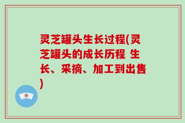 灵芝罐头生长过程(灵芝罐头的成长历程 生长、采摘、加工到出售)