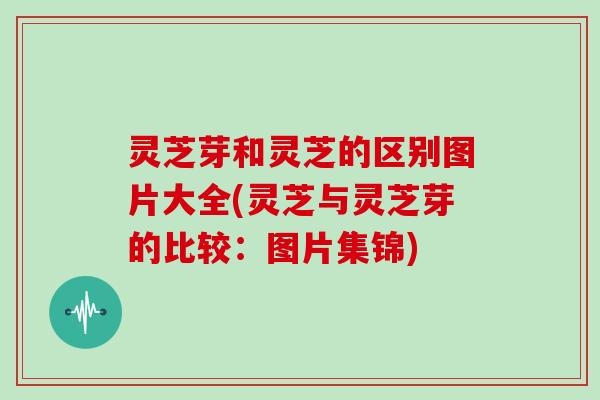 灵芝芽和灵芝的区别图片大全(灵芝与灵芝芽的比较:图片集锦)