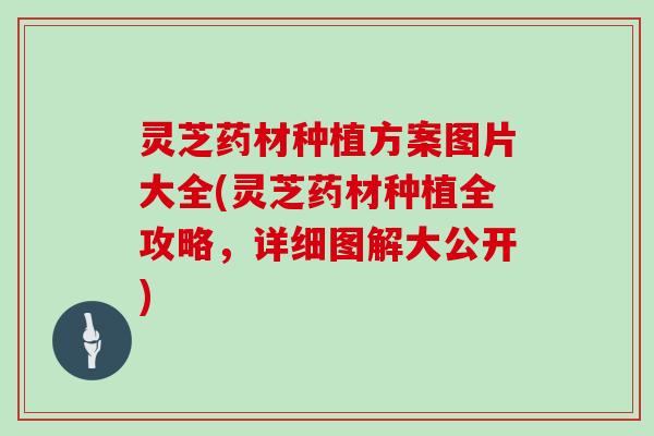 灵芝药材种植方案图片大全(灵芝药材种植全攻略,详细图解大公开)