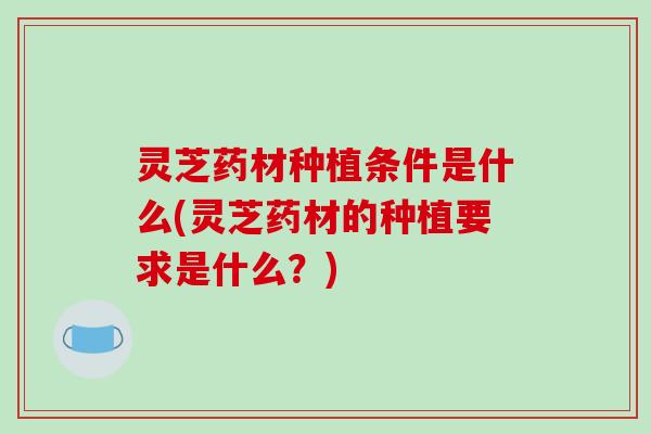 灵芝药材种植条件是什么(灵芝药材的种植要求是什么?)