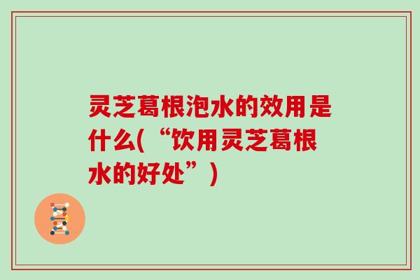 灵芝葛根泡水的效用是什么(“饮用灵芝葛根水的好处”)