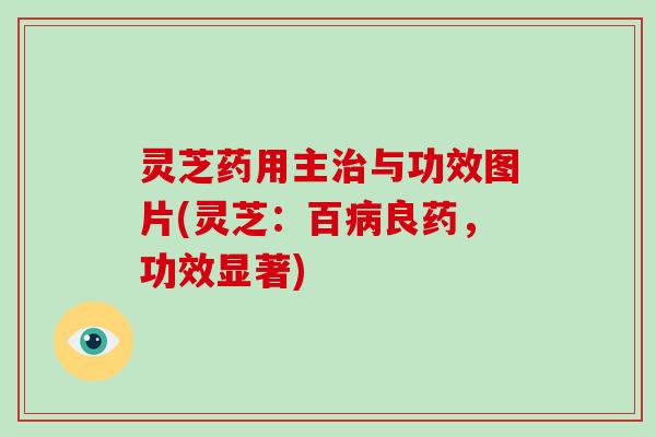 灵芝药用主治与功效图片(灵芝:百病良药,功效显著)