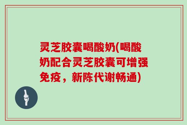 灵芝胶囊喝酸奶(喝酸奶配合灵芝胶囊可增强免疫，新陈代谢畅通)