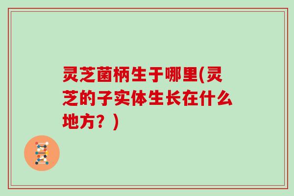 灵芝菌柄生于哪里(灵芝的子实体生长在什么地方?)