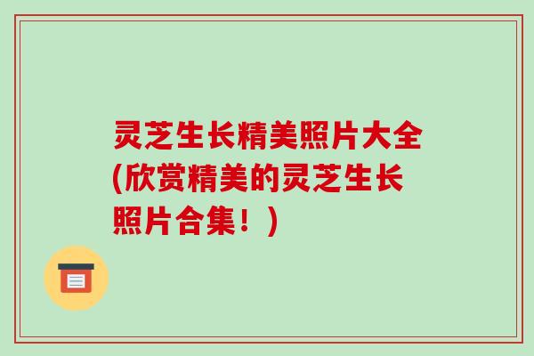 灵芝生长精美照片大全(欣赏精美的灵芝生长照片合集!)