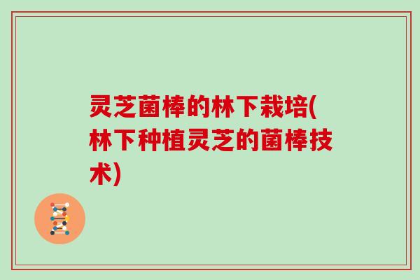 灵芝菌棒的林下栽培(林下种植灵芝的菌棒技术)