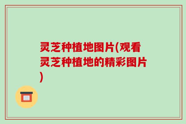 灵芝种植地图片(观看灵芝种植地的精彩图片)