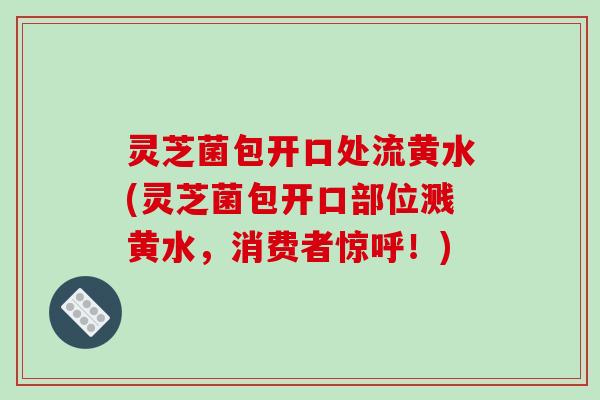 灵芝菌包开口处流黄水(灵芝菌包开口部位溅黄水,消费者惊呼!)