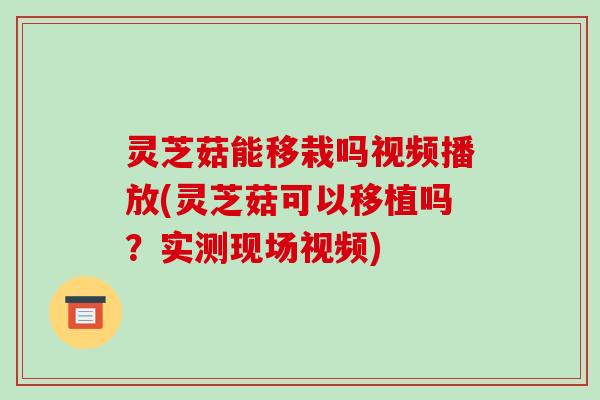 灵芝菇能移栽吗视频播放(灵芝菇可以移植吗?实测现场视频)