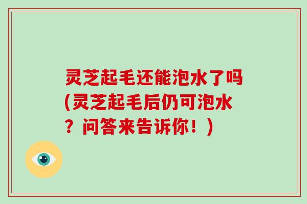 灵芝起毛还能泡水了吗(灵芝起毛后仍可泡水?问答来告诉你!)
