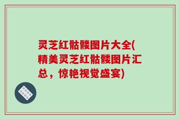 灵芝红骷髅图片大全(精美灵芝红骷髅图片汇总，惊艳视觉盛宴)