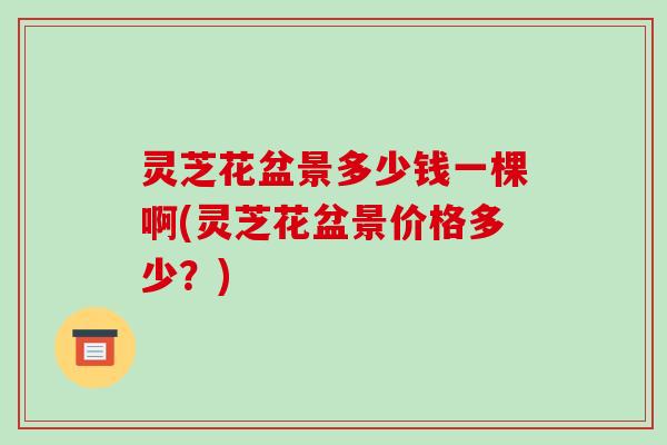 灵芝花盆景多少钱一棵啊(灵芝花盆景价格多少？)