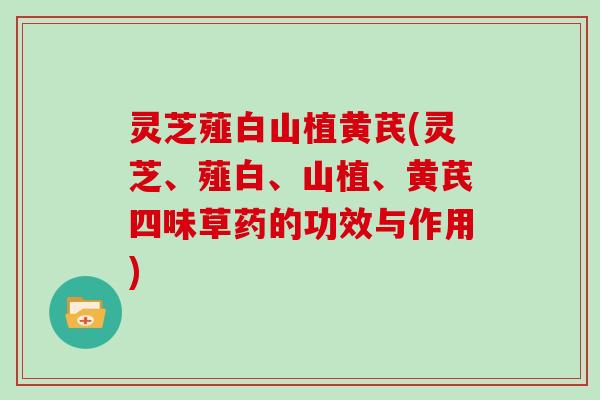 灵芝薤白山植黄芪(灵芝、薤白、山植、黄芪四味草药的功效与作用)