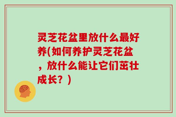 灵芝花盆里放什么最好养(如何养护灵芝花盆,放什么能让它们茁壮成长?)