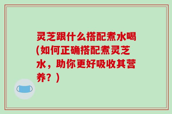 灵芝跟什么搭配煮水喝(如何正确搭配煮灵芝水,助你更好吸收其营养?)