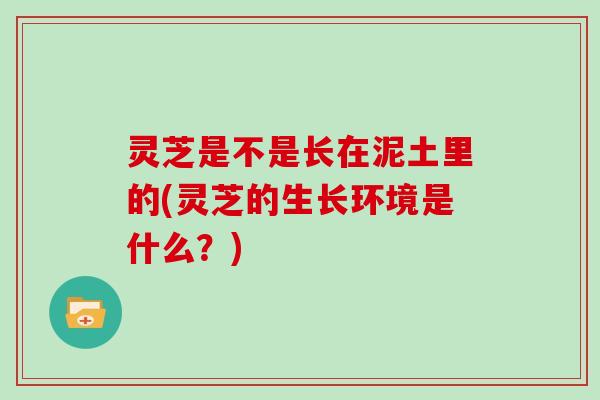 灵芝是不是长在泥土里的(灵芝的生长环境是什么?)