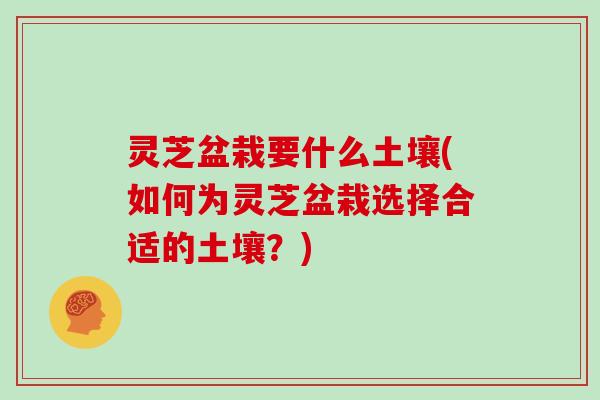 灵芝盆栽要什么土壤(如何为灵芝盆栽选择合适的土壤?)