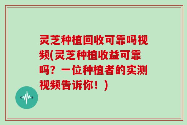 灵芝种植回收可靠吗视频(灵芝种植收益可靠吗？一位种植者的实测视频告诉你！)
