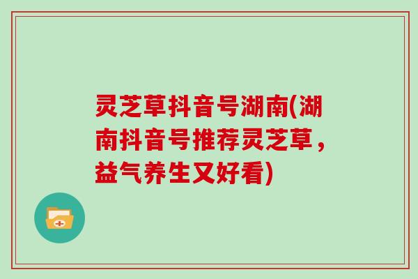 灵芝草抖音号湖南(湖南抖音号推荐灵芝草，益气养生又好看)