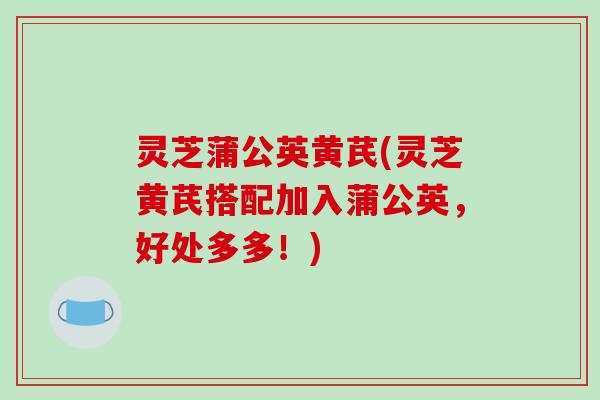 灵芝蒲公英黄芪(灵芝黄芪搭配加入蒲公英,好处多多!)