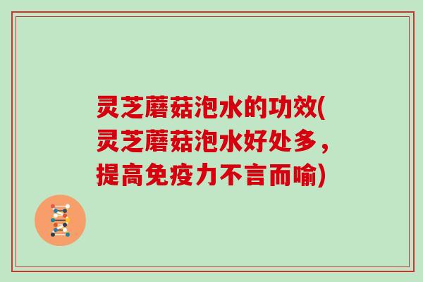 灵芝蘑菇泡水的功效(灵芝蘑菇泡水好处多,提高免疫力不言而喻)