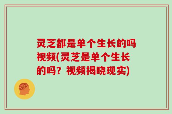 灵芝都是单个生长的吗视频(灵芝是单个生长的吗?视频揭晓现实)