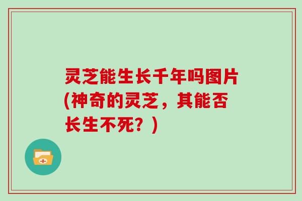灵芝能生长千年吗图片(神奇的灵芝,其能否长生不死?)